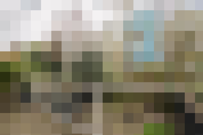Image 15