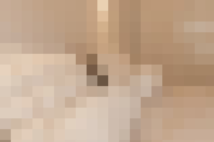 Image 23