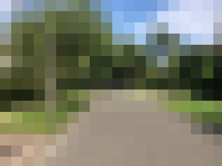 Image 23