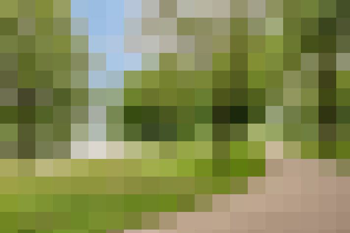 Image 18