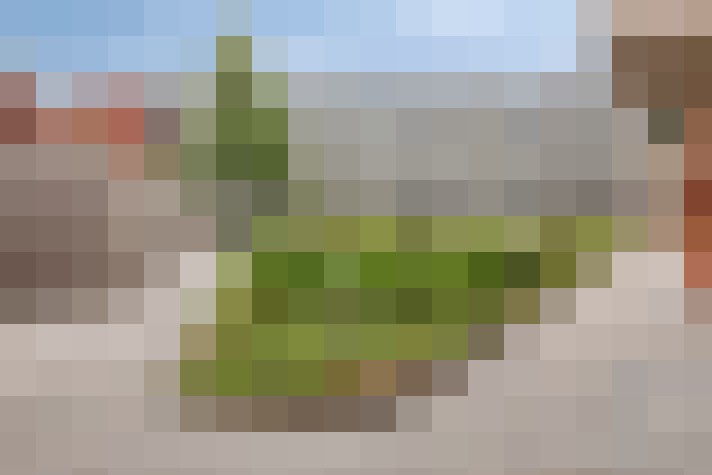 Image 17