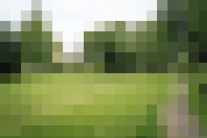 Image 25