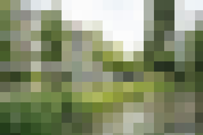 Image 24