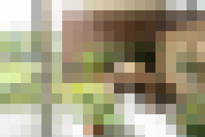 Image 20