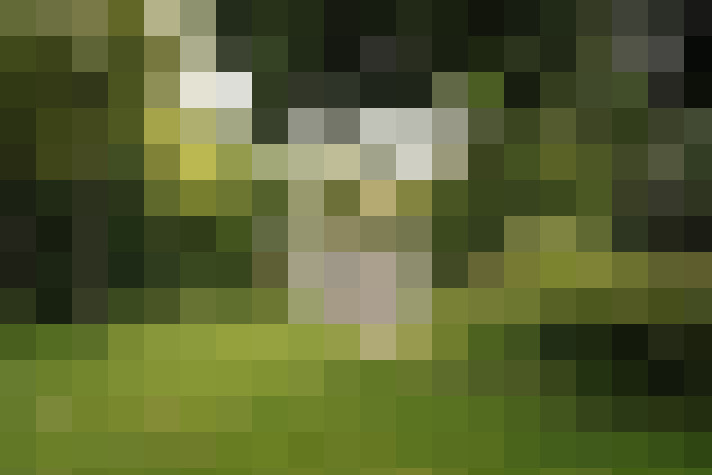 Image 27