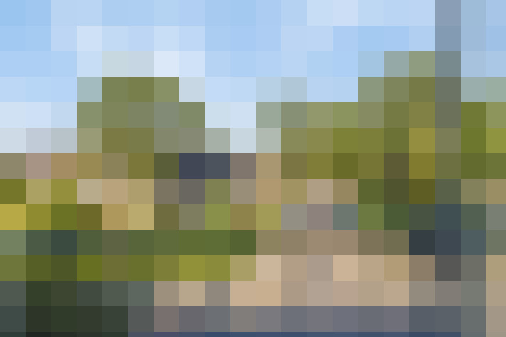 Image 21