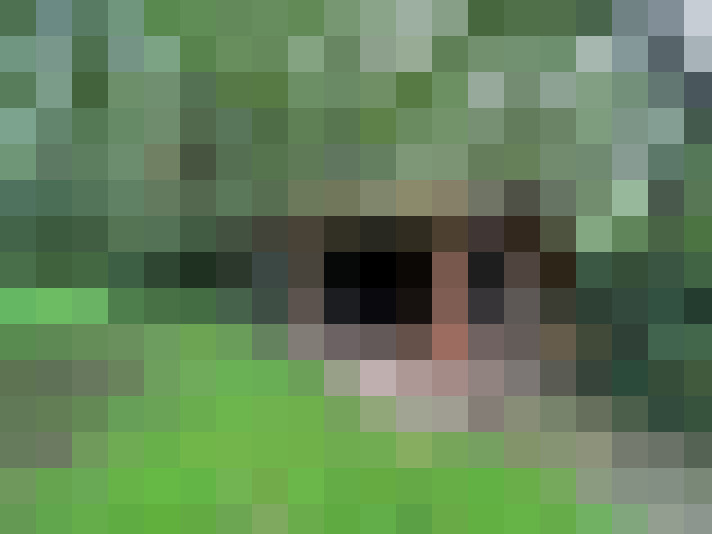 Image 16