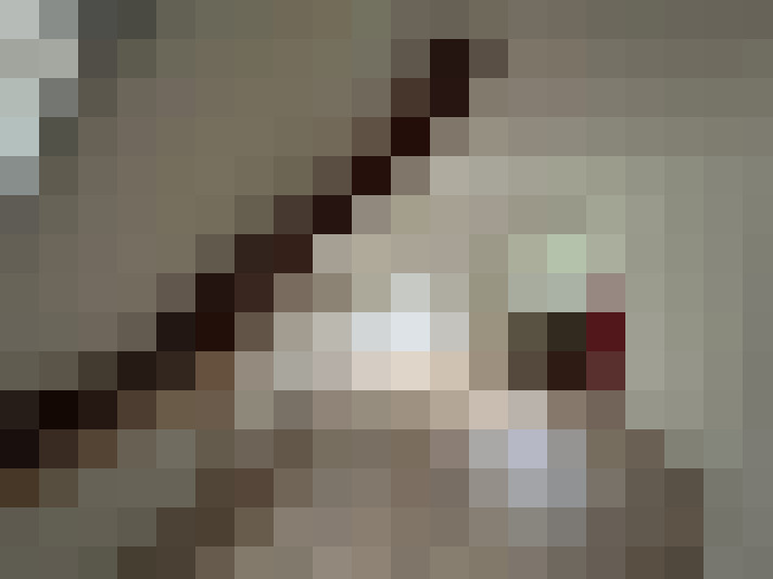 Image 22