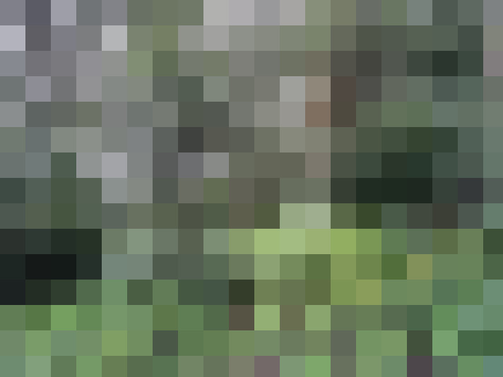 Image 18