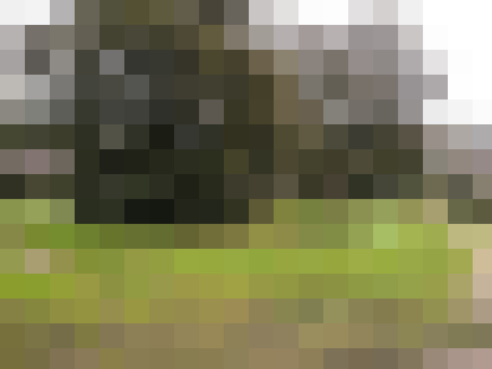 Image 20