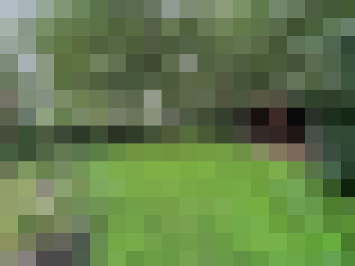 Image 17