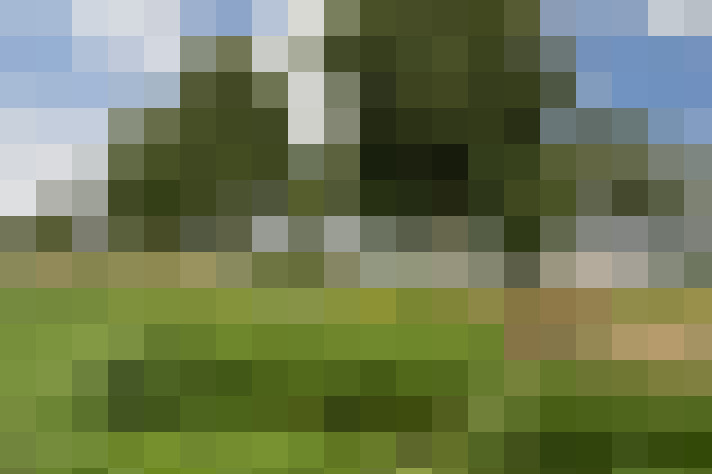 Image 33