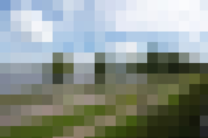 Image 25