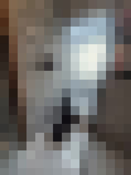 Image 22