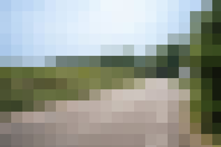 Image 29