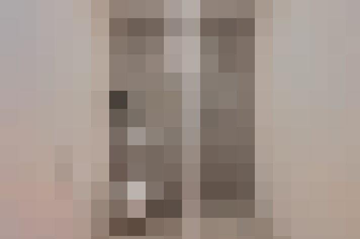 Image 17
