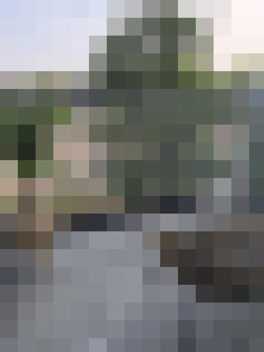 Image 17