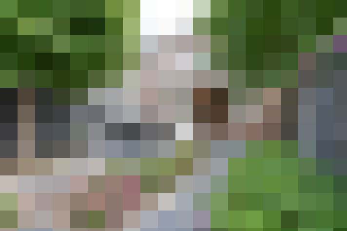Image 30