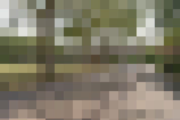Image 33