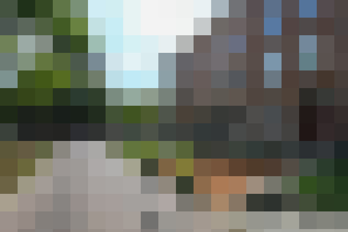 Image 31
