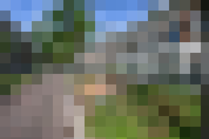 Image 29