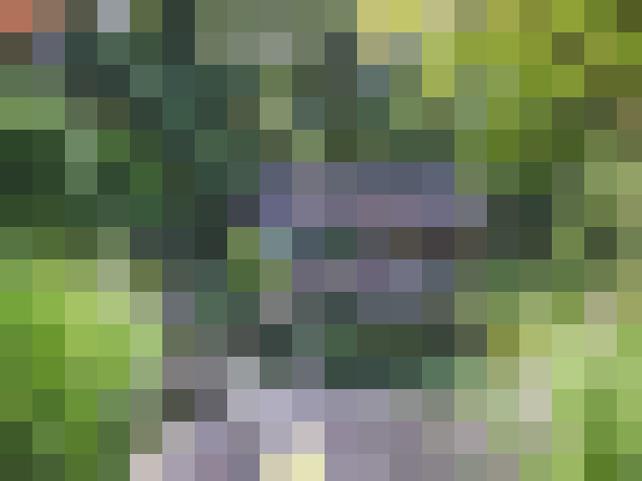 Image 14