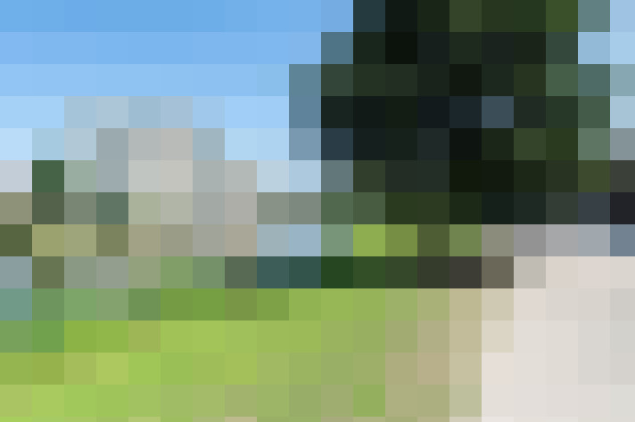 Image 42