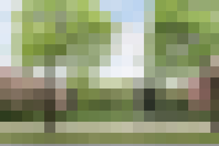 Image 23