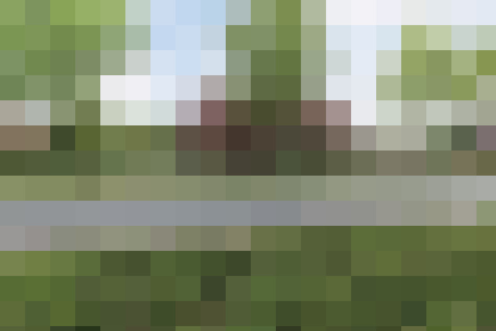 Image 22