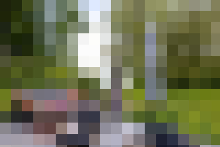 Image 20