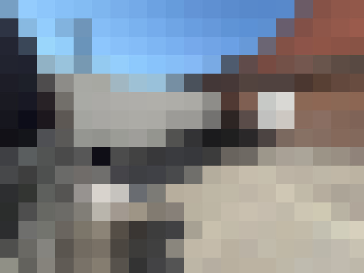  / #37