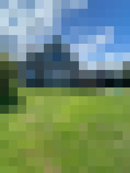 Image 31