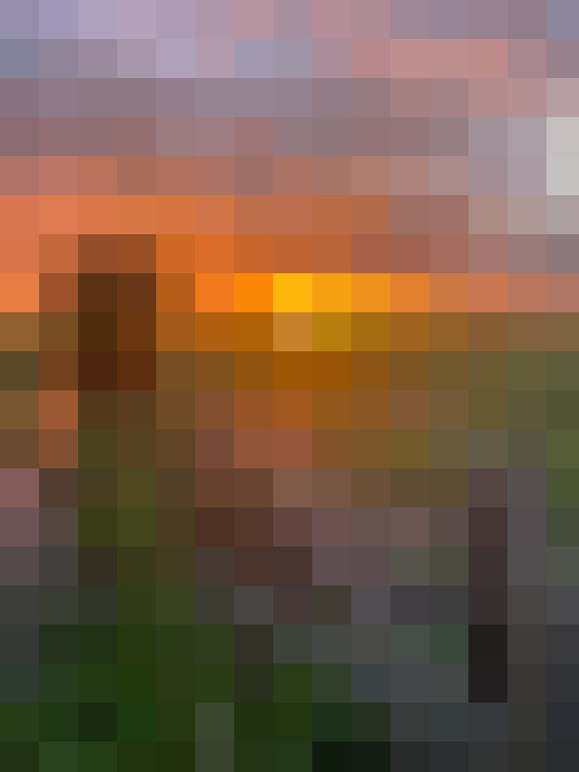 Image 40
