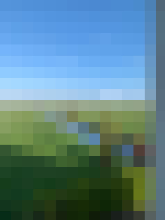 Image 35