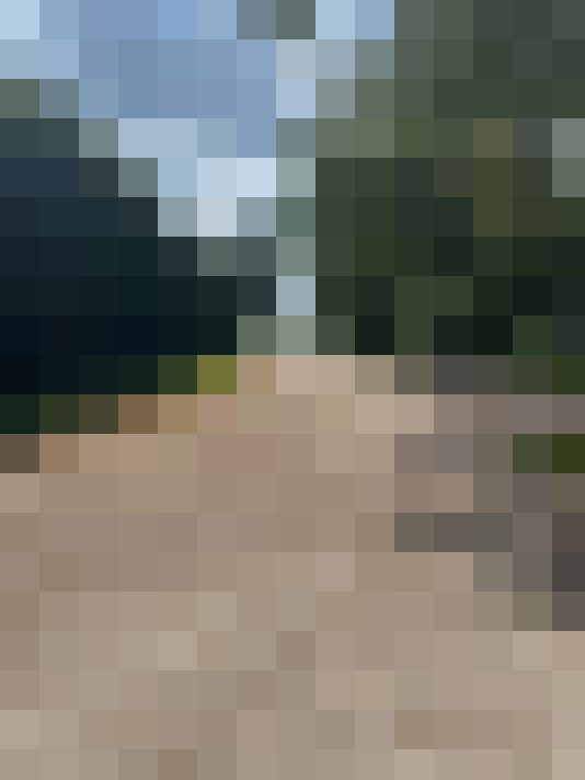 Image 26