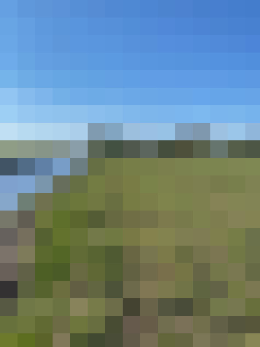 Image 32