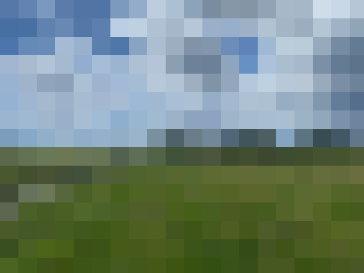 Image 37