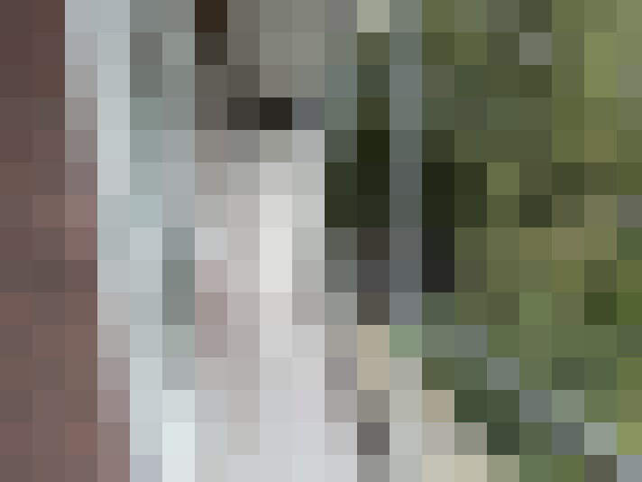 Image 17