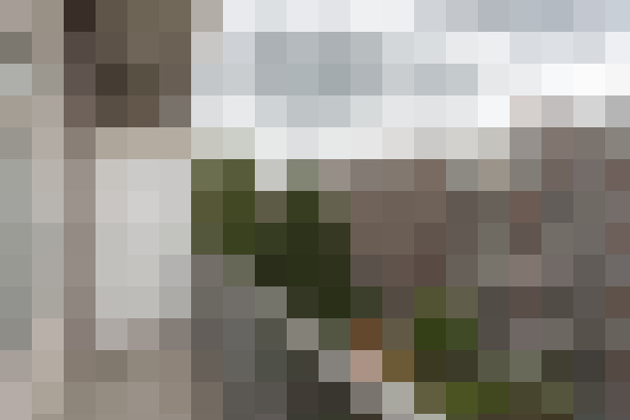 Image 20