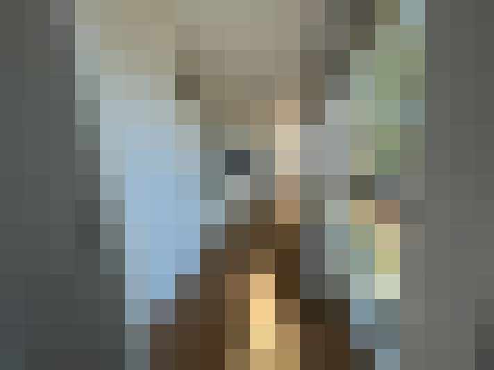 Image 29