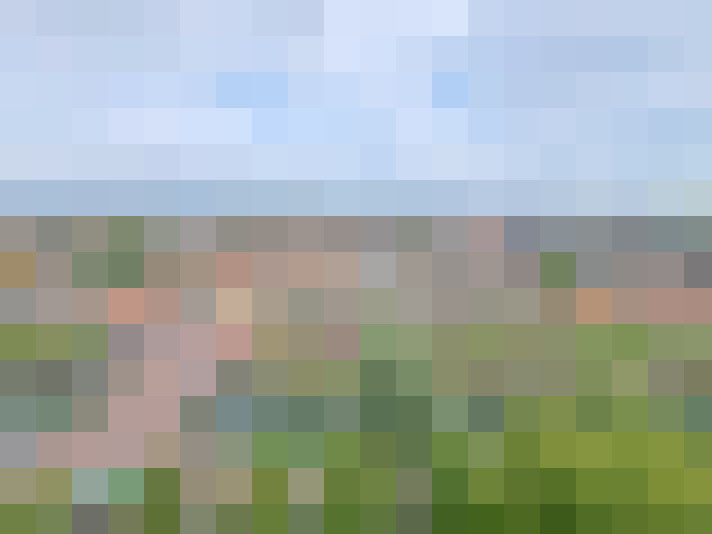Image 25