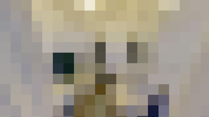 Image 13