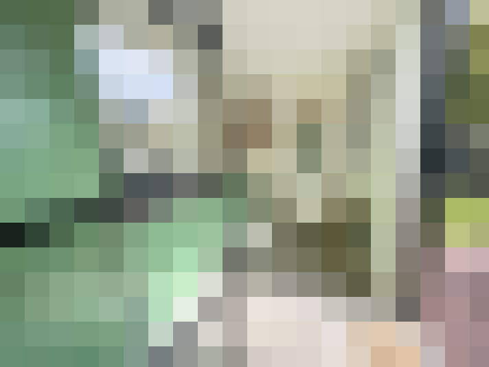 Image 31