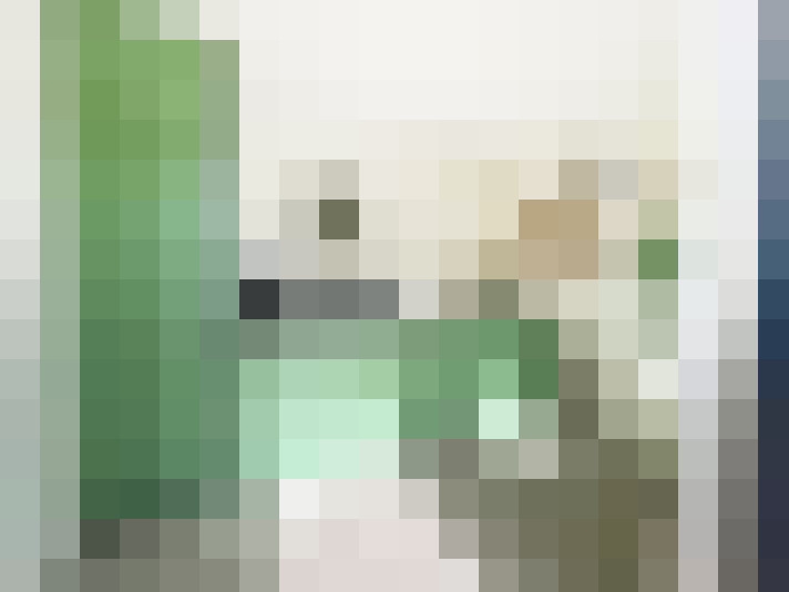 Image 33