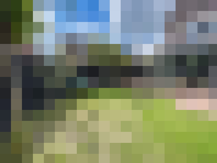 Image 35