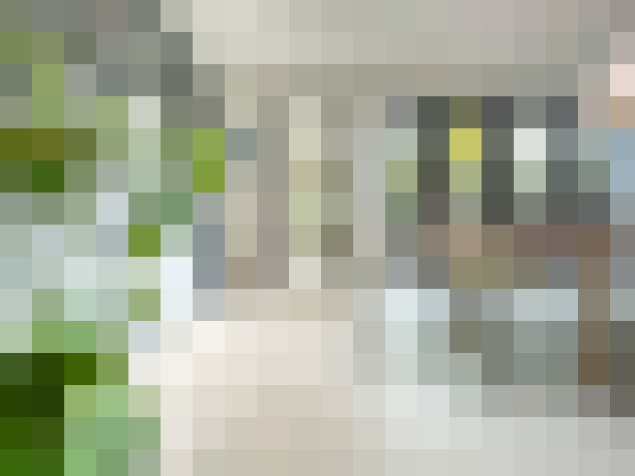 Image 20