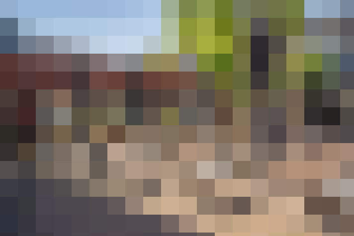 Image 22