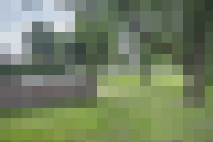Image 23