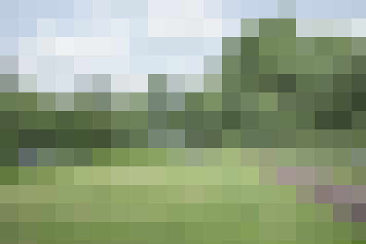 Image 24