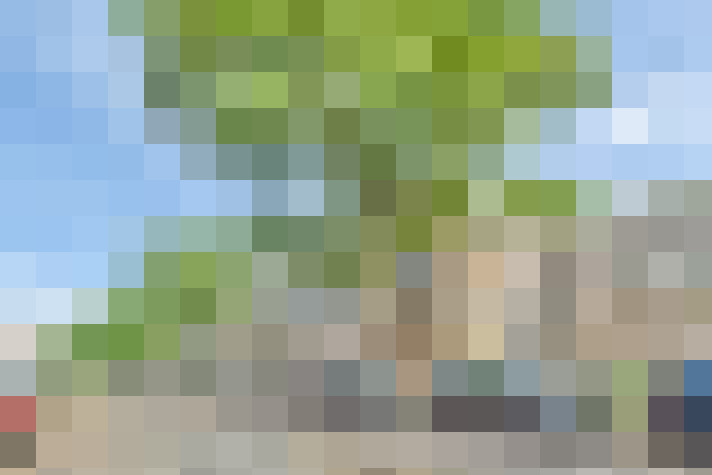 Image 13